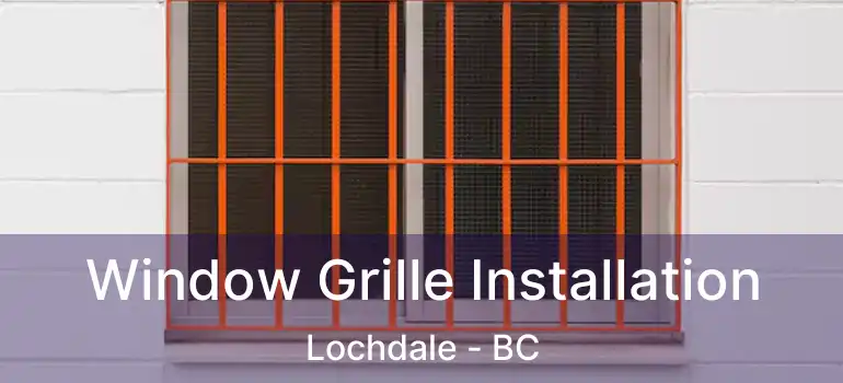  Window Grille Installation Lochdale - BC