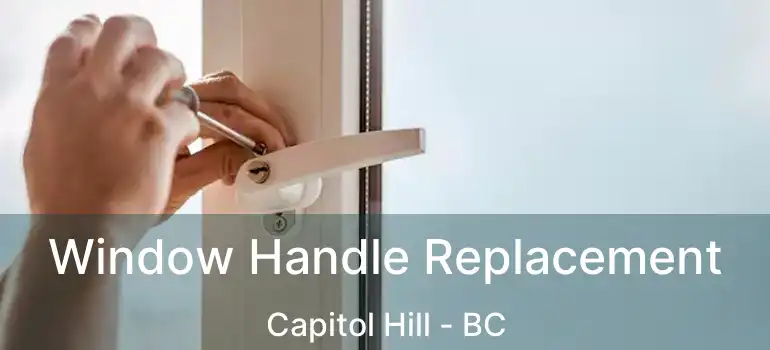  Window Handle Replacement Capitol Hill - BC
