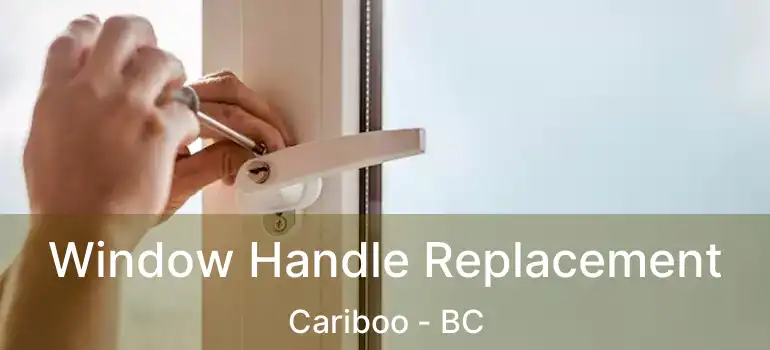  Window Handle Replacement Cariboo - BC