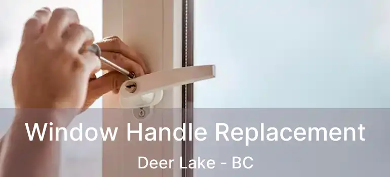  Window Handle Replacement Deer Lake - BC