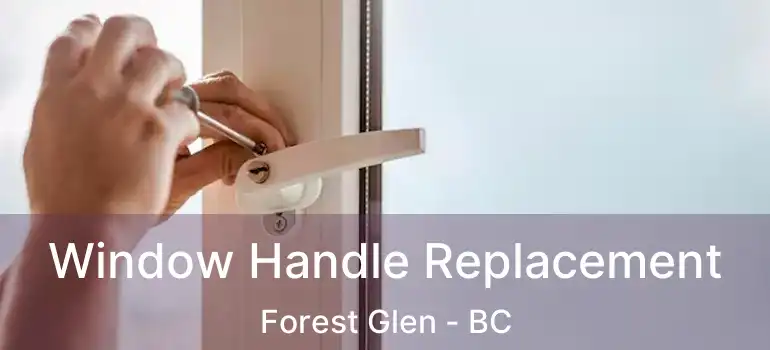  Window Handle Replacement Forest Glen - BC