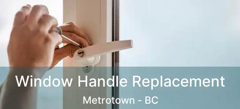  Window Handle Replacement Metrotown - BC
