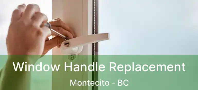  Window Handle Replacement Montecito - BC