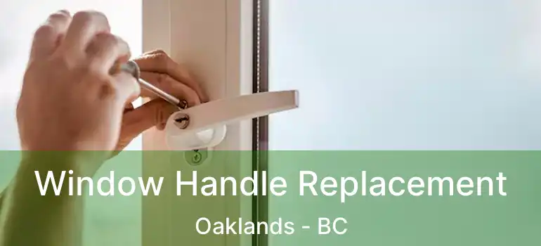  Window Handle Replacement Oaklands - BC