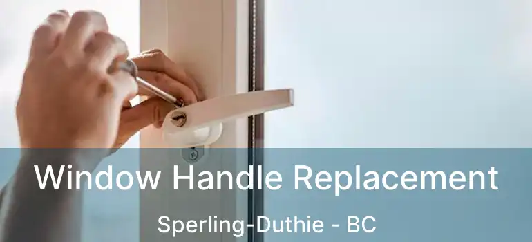  Window Handle Replacement Sperling-Duthie - BC