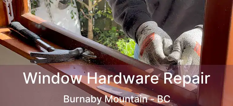  Window Hardware Repair Burnaby Mountain - BC