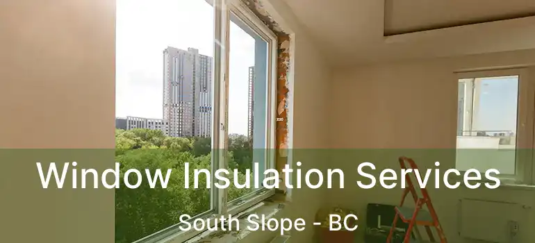  Window Insulation Services South Slope - BC