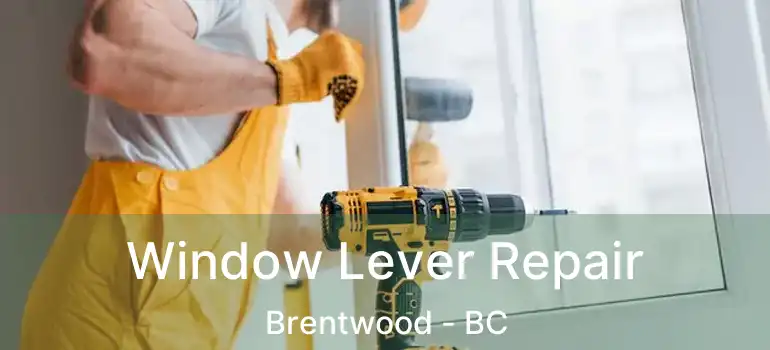  Window Lever Repair Brentwood - BC