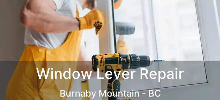 Window Lever Repair Burnaby Mountain - BC