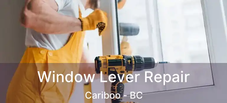  Window Lever Repair Cariboo - BC