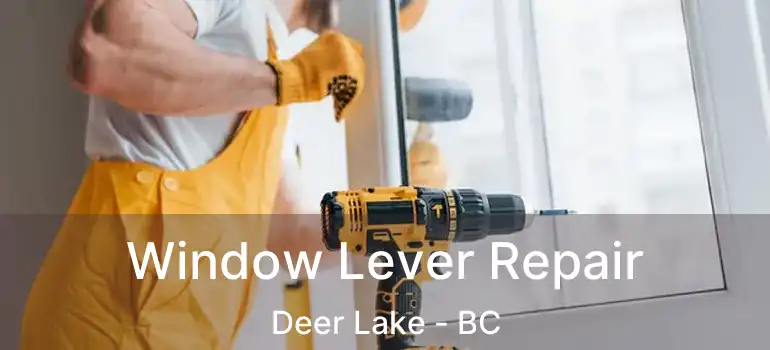  Window Lever Repair Deer Lake - BC