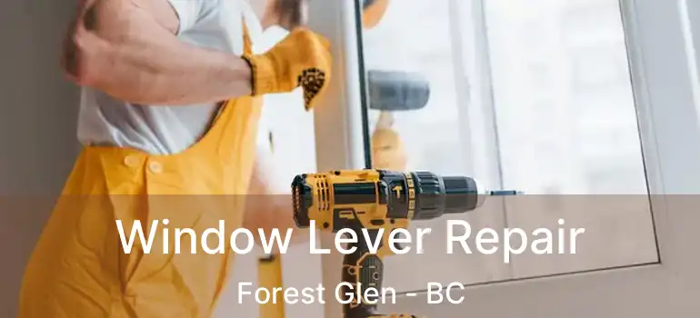  Window Lever Repair Forest Glen - BC