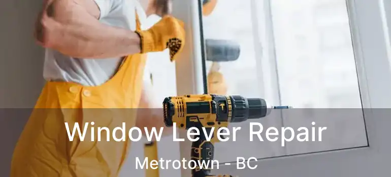  Window Lever Repair Metrotown - BC