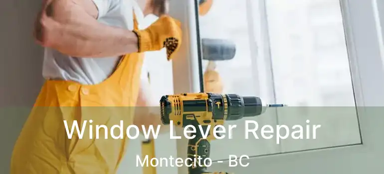  Window Lever Repair Montecito - BC