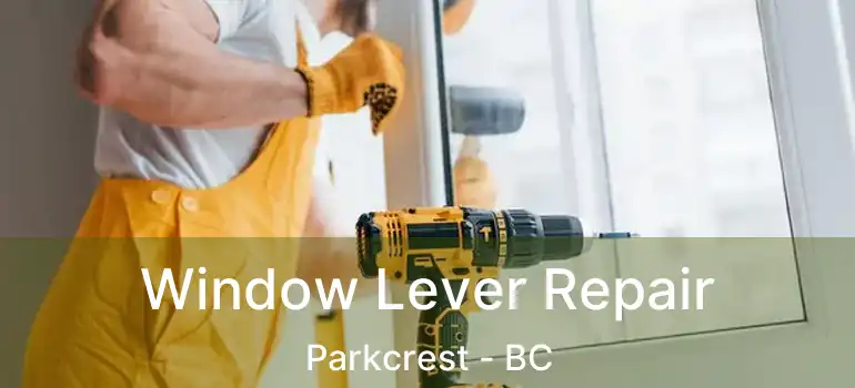  Window Lever Repair Parkcrest - BC