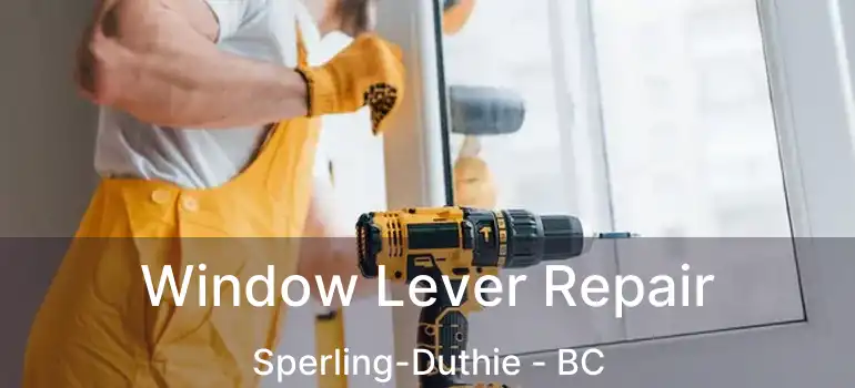  Window Lever Repair Sperling-Duthie - BC