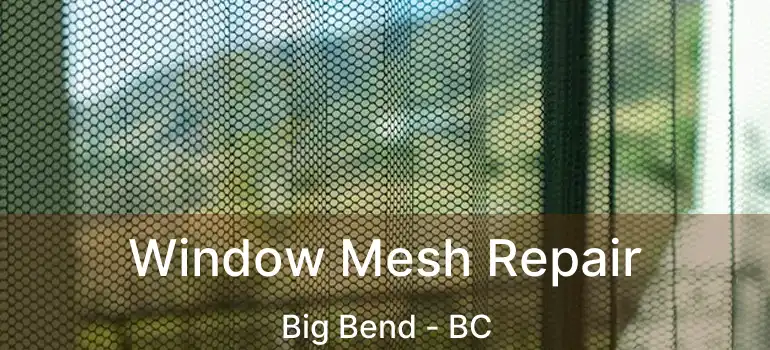  Window Mesh Repair Big Bend - BC