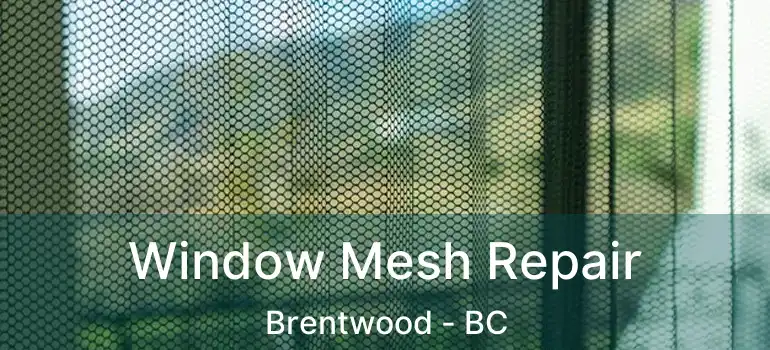  Window Mesh Repair Brentwood - BC
