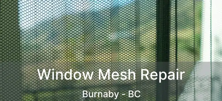  Window Mesh Repair Burnaby - BC