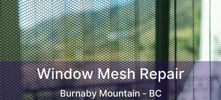  Window Mesh Repair Burnaby Mountain - BC