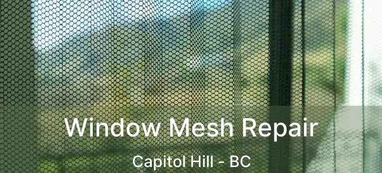  Window Mesh Repair Capitol Hill - BC