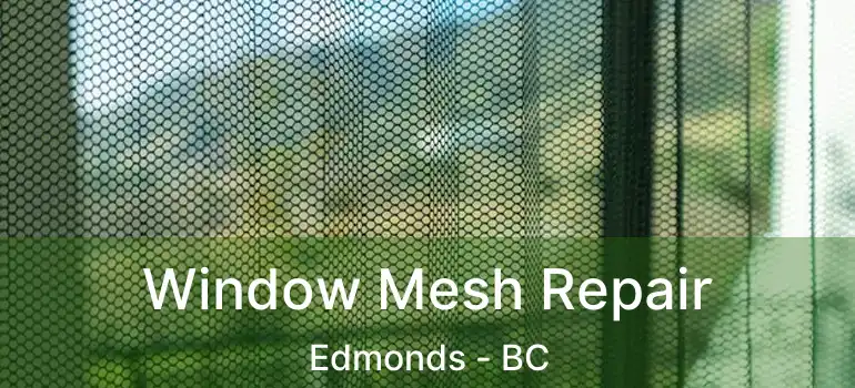  Window Mesh Repair Edmonds - BC