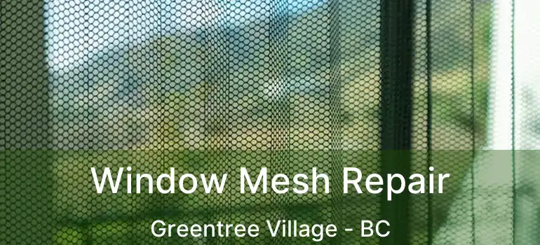  Window Mesh Repair Greentree Village - BC