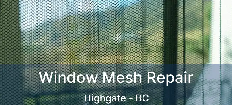  Window Mesh Repair Highgate - BC