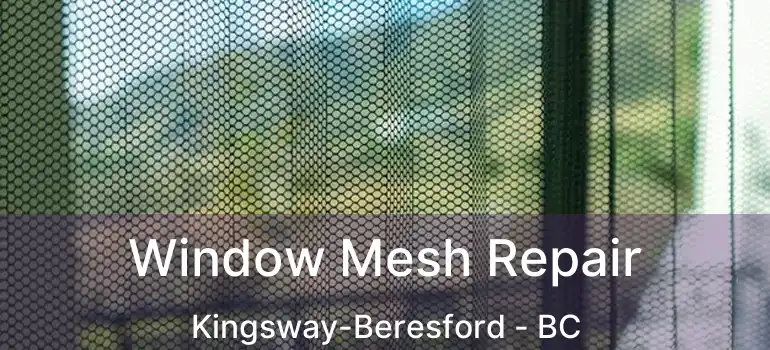  Window Mesh Repair Kingsway-Beresford - BC