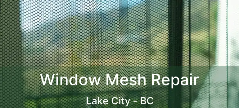  Window Mesh Repair Lake City - BC