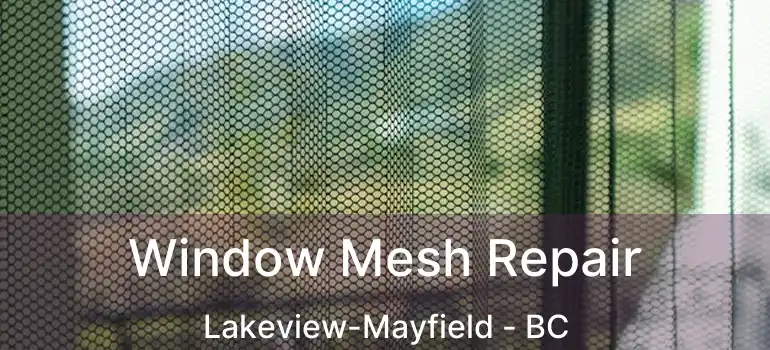  Window Mesh Repair Lakeview-Mayfield - BC