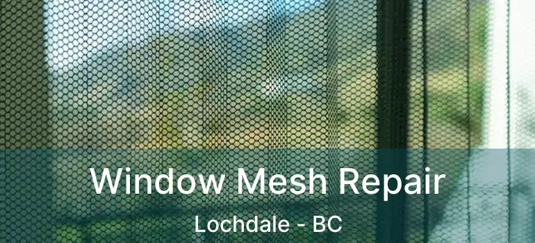  Window Mesh Repair Lochdale - BC