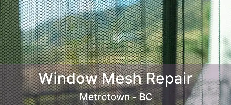  Window Mesh Repair Metrotown - BC