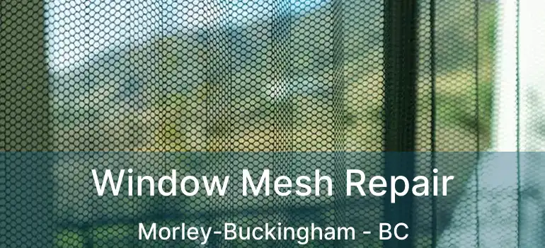  Window Mesh Repair Morley-Buckingham - BC