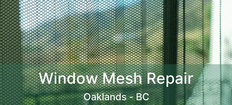 Window Mesh Repair Oaklands - BC