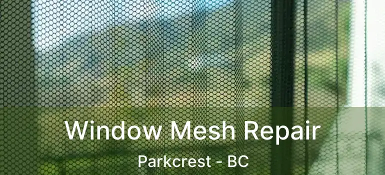  Window Mesh Repair Parkcrest - BC