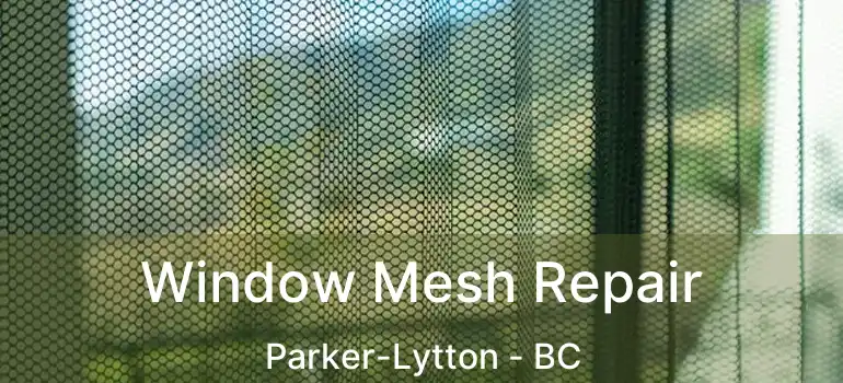  Window Mesh Repair Parker-Lytton - BC