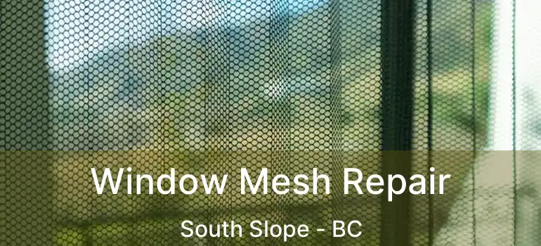  Window Mesh Repair South Slope - BC