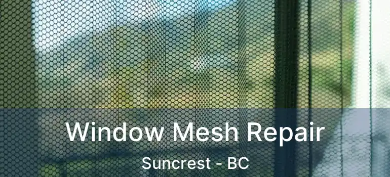  Window Mesh Repair Suncrest - BC