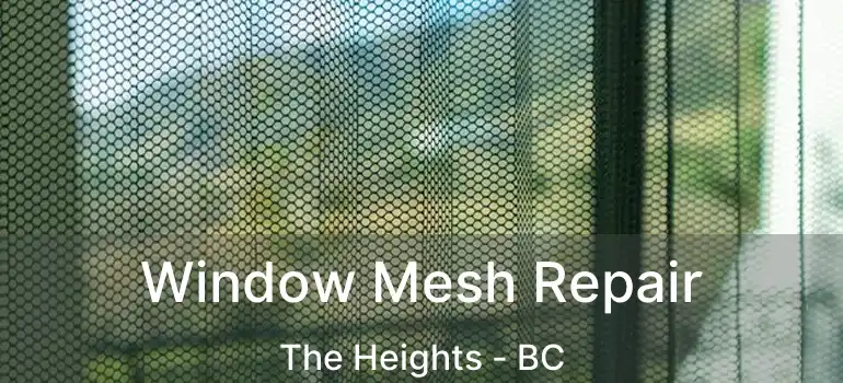  Window Mesh Repair The Heights - BC
