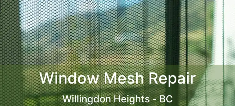  Window Mesh Repair Willingdon Heights - BC