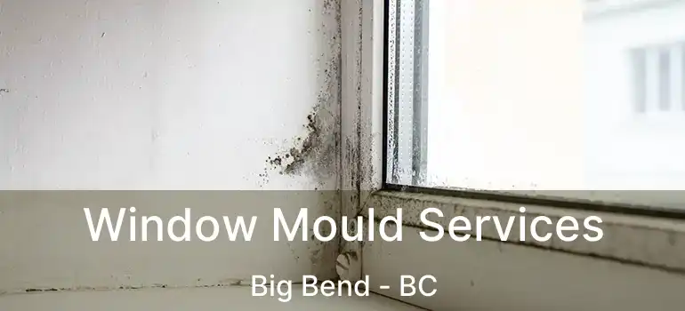  Window Mould Services Big Bend - BC
