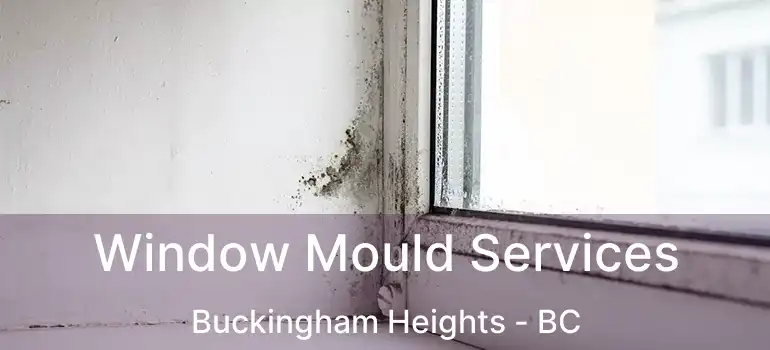  Window Mould Services Buckingham Heights - BC