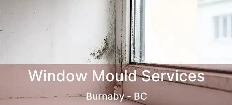  Window Mould Services Burnaby - BC