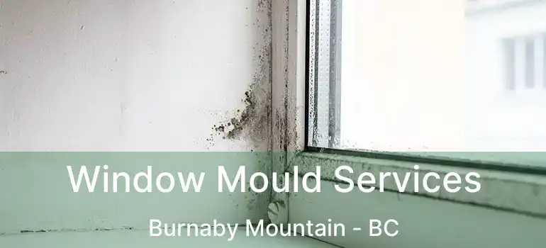  Window Mould Services Burnaby Mountain - BC