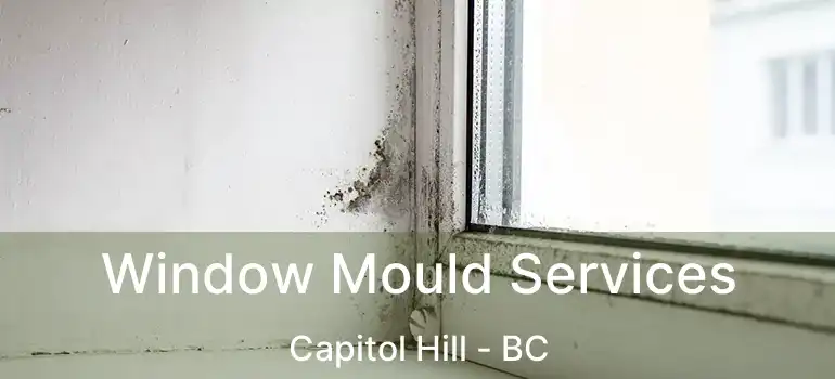 Window Mould Services Capitol Hill - BC
