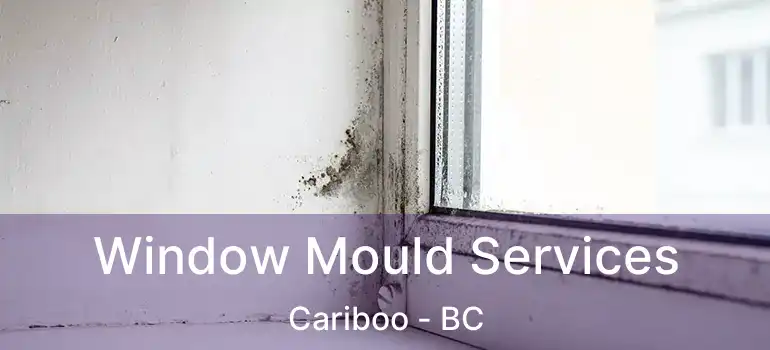  Window Mould Services Cariboo - BC