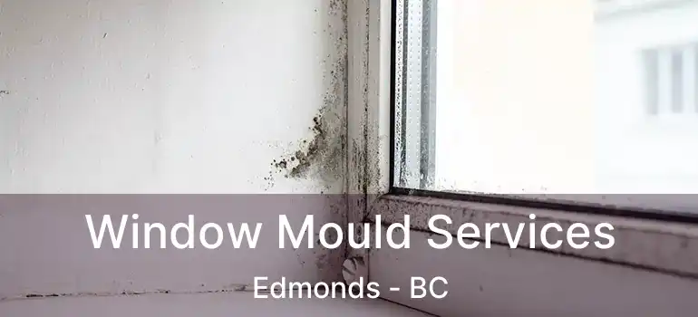  Window Mould Services Edmonds - BC