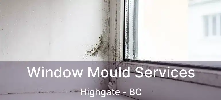  Window Mould Services Highgate - BC