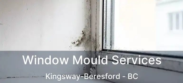  Window Mould Services Kingsway-Beresford - BC